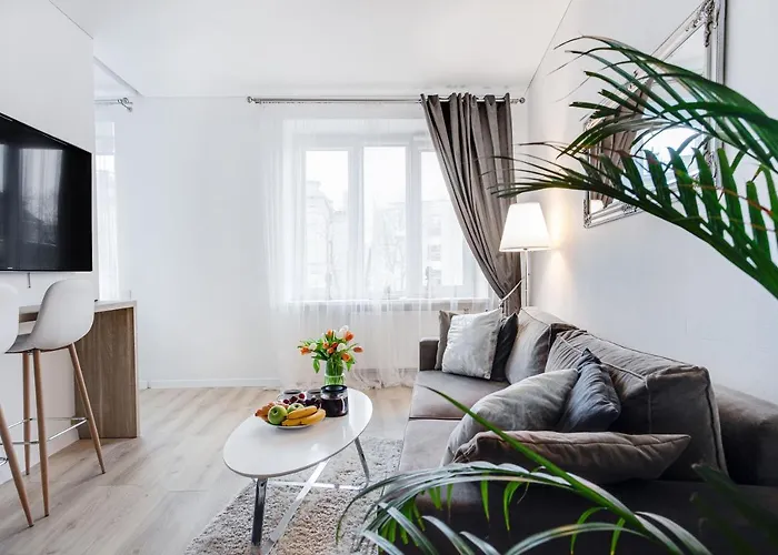 Cozy Naugarduko Apartments Close To Vilnius Old Town