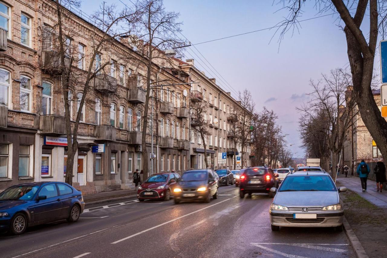 Cozy Naugarduko Close To Old Town Apartment Vilnius